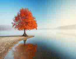 自﻿动​搜‍索‍神﻿器‌